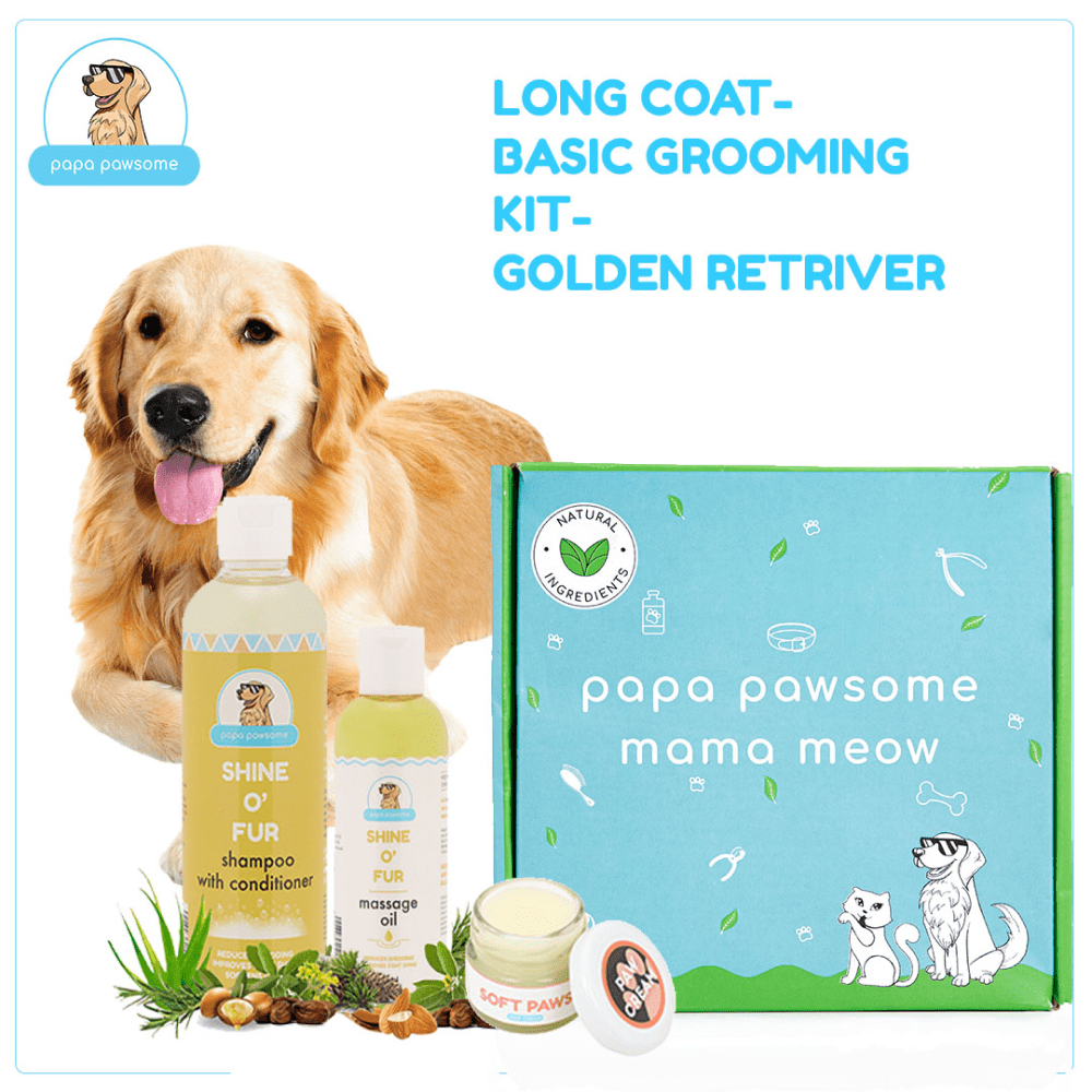Papa Pawsome Long/Drop Coat Basic Grooming Kit (Golden Retriever)