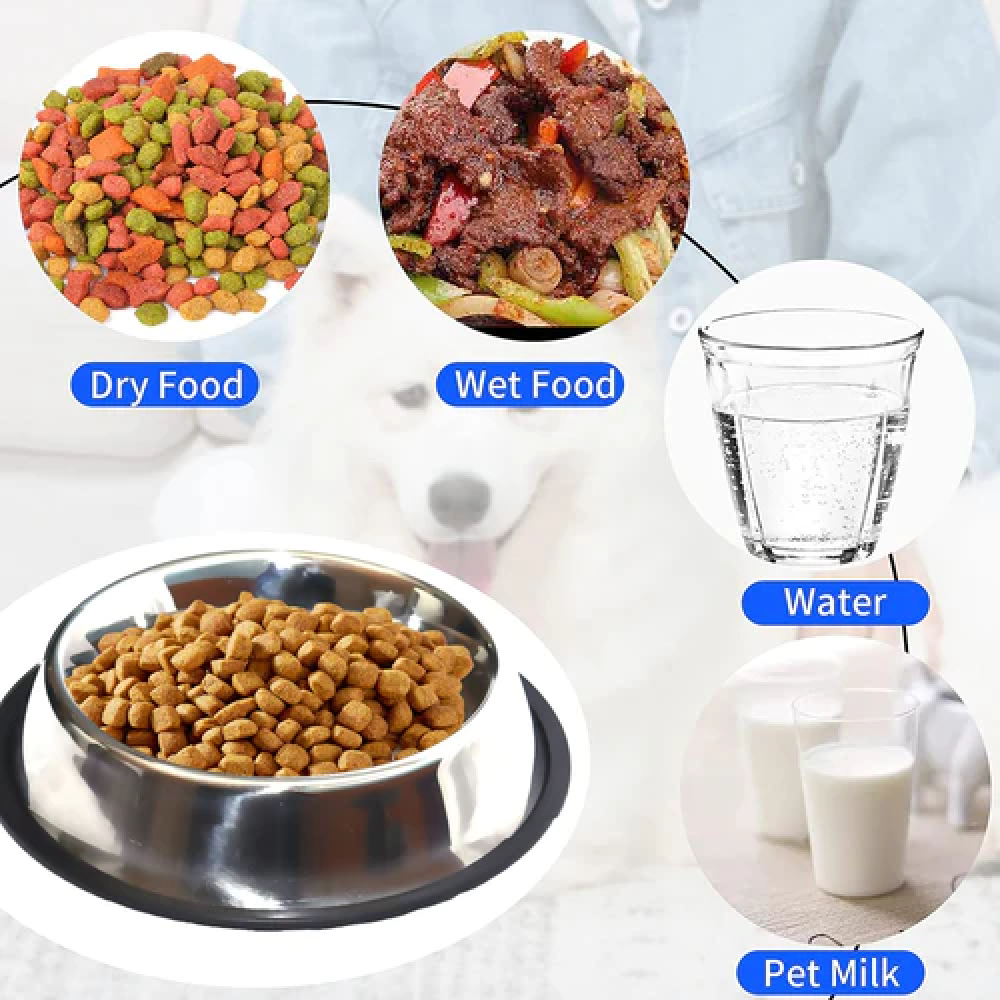 Emily Pets Steel Non Skid Pet Food/Water Bowl with Rubber Ring for Pets