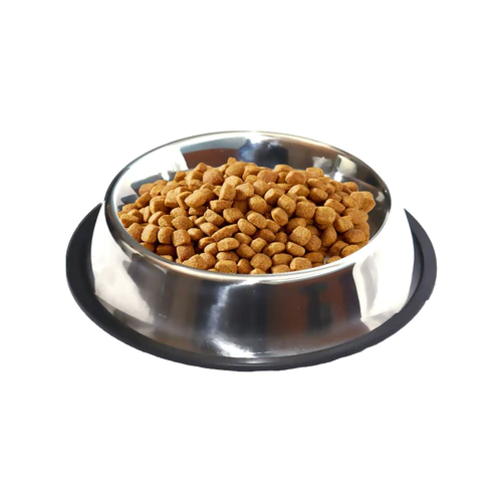 Emily Pets Steel Non Skid Pet Food/Water Bowl with Rubber Ring for Pets