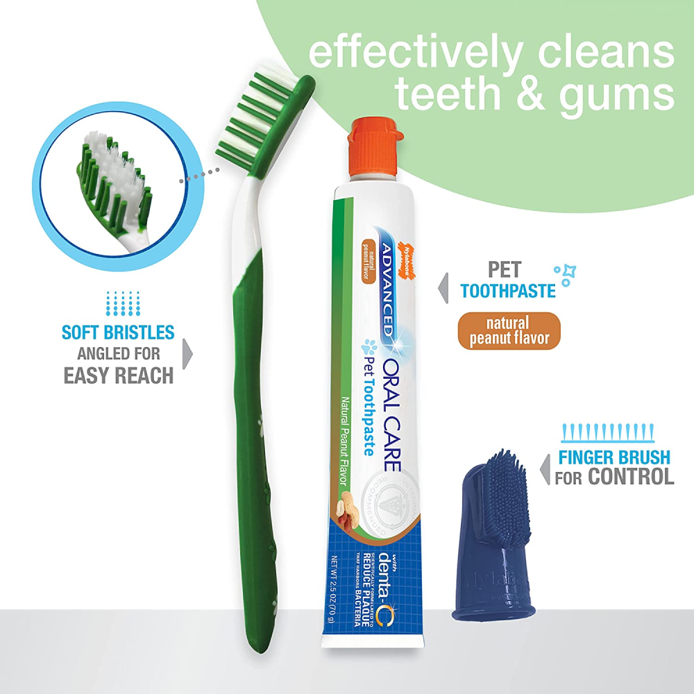 Nylabone Advanced Oral Natural Care Dog Dental Kit