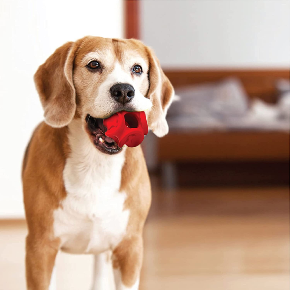 Goofy Tails Wobbly Natural Rubber Ball for Dogs