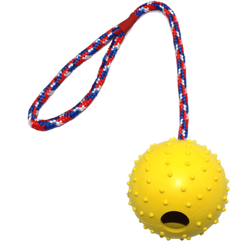 Emily Pets Rubber Ball with Rope Chew Toy for Dogs