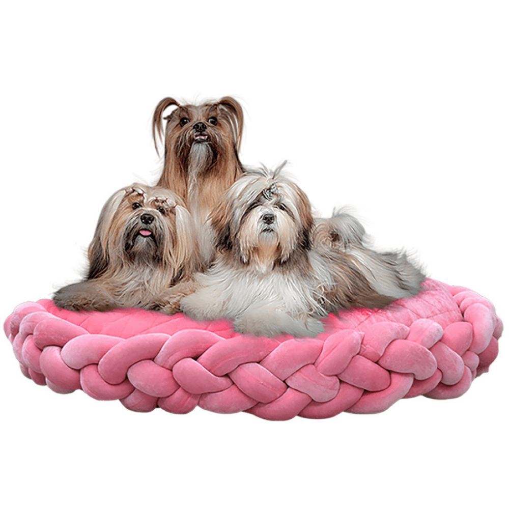 Jazz My Home Braided Bed for Pets (Hand-Made)
