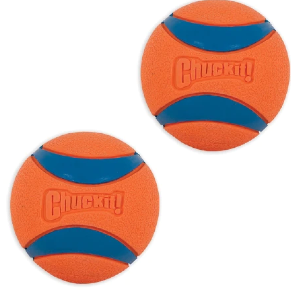 Petmate Chuckit Ultra Ball for Dogs (Orange/Blue)
