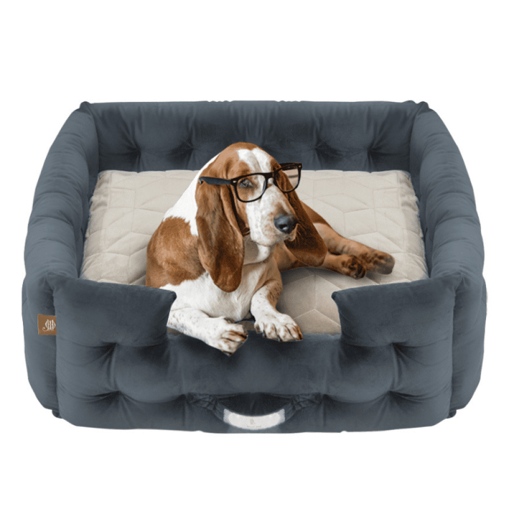 Jazz My Home Velvet Comfy French Bed for Pets (Hand-Made)