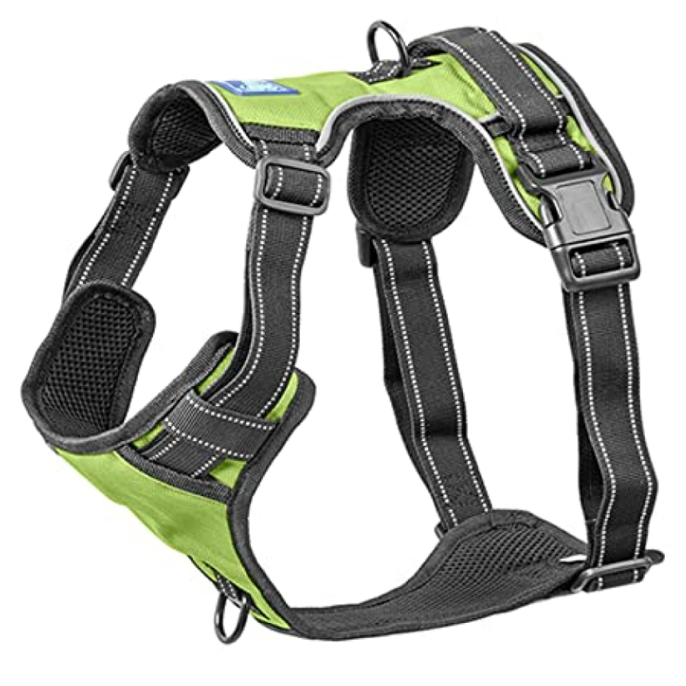 Whoof Whoof Double Padded Harness for Dogs (Green)