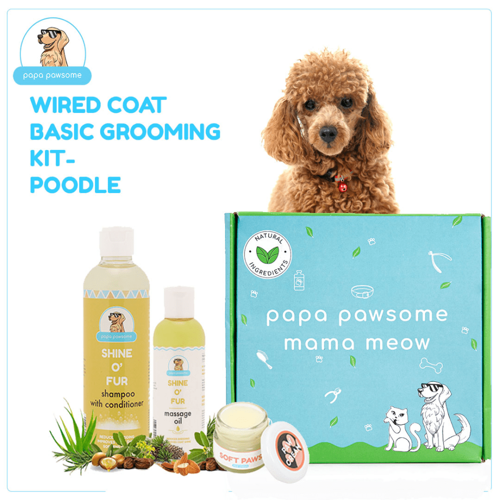 Papa Pawsome Wired/Curly Coat Basic Grooming Kit (Poodle)