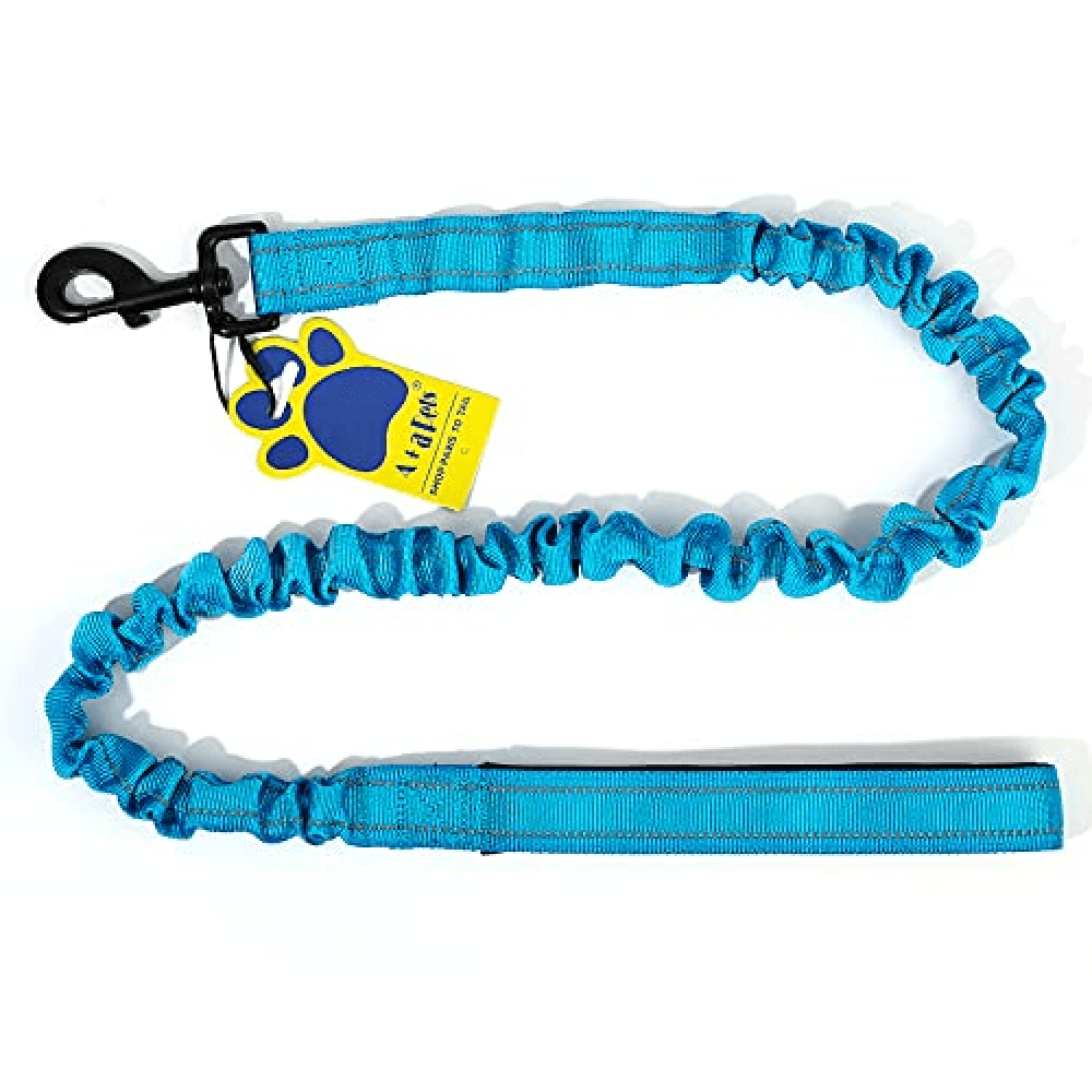 A Plus A Pets Heavy Duty Bungee Leash for Dogs (Blue)