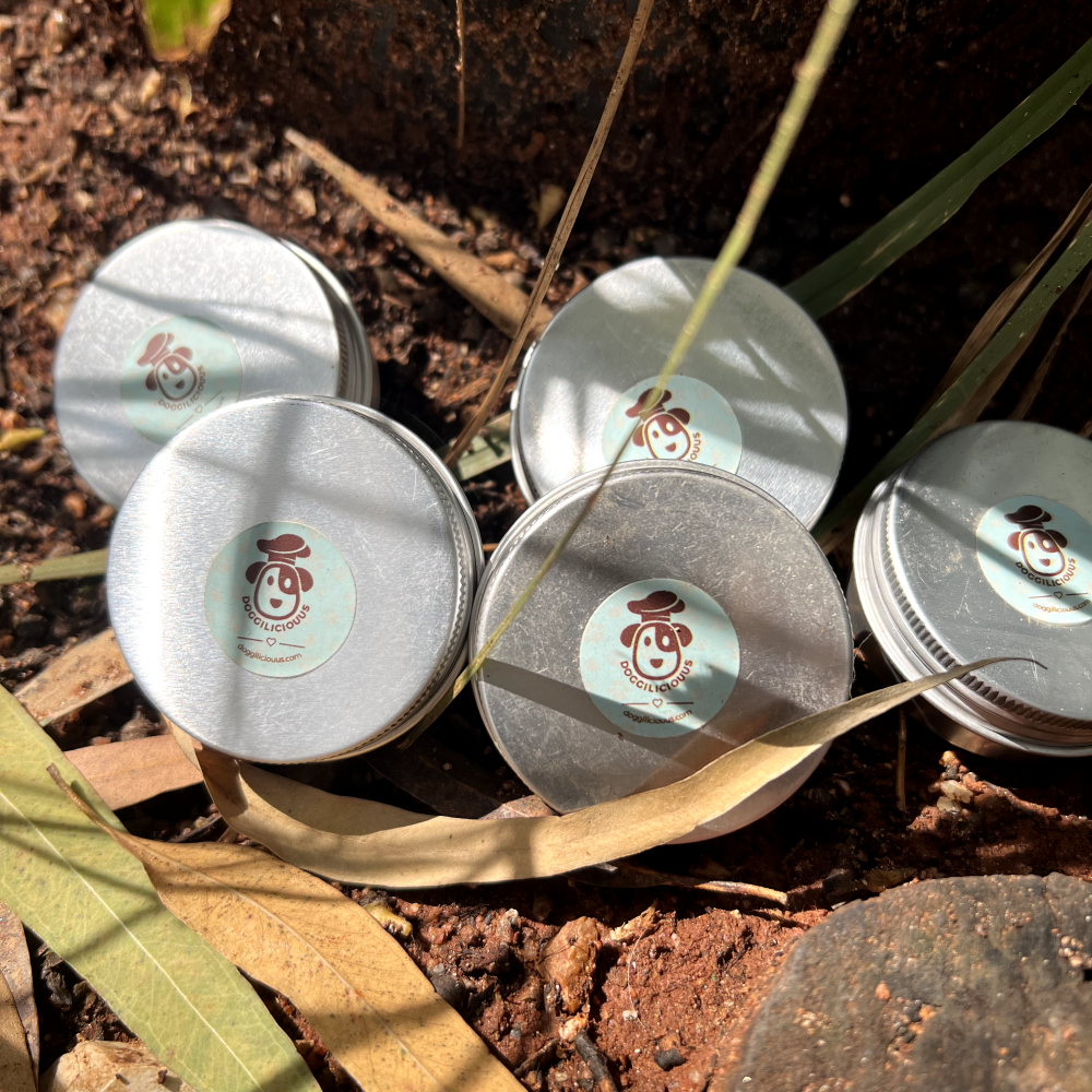 Doggielicious Paw & Snout Butter for Dogs