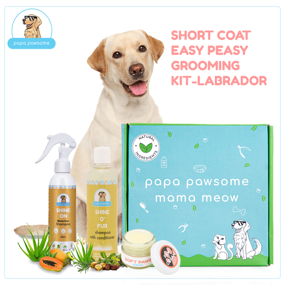 Papa Pawsome Short Coat Easy Peasy Grooming Kit (Labrador)