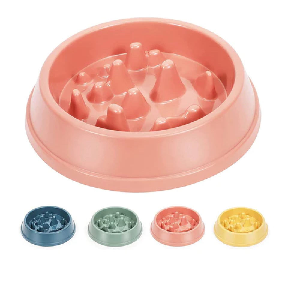 Emily Pets Slow Feeder Bowl for Pets