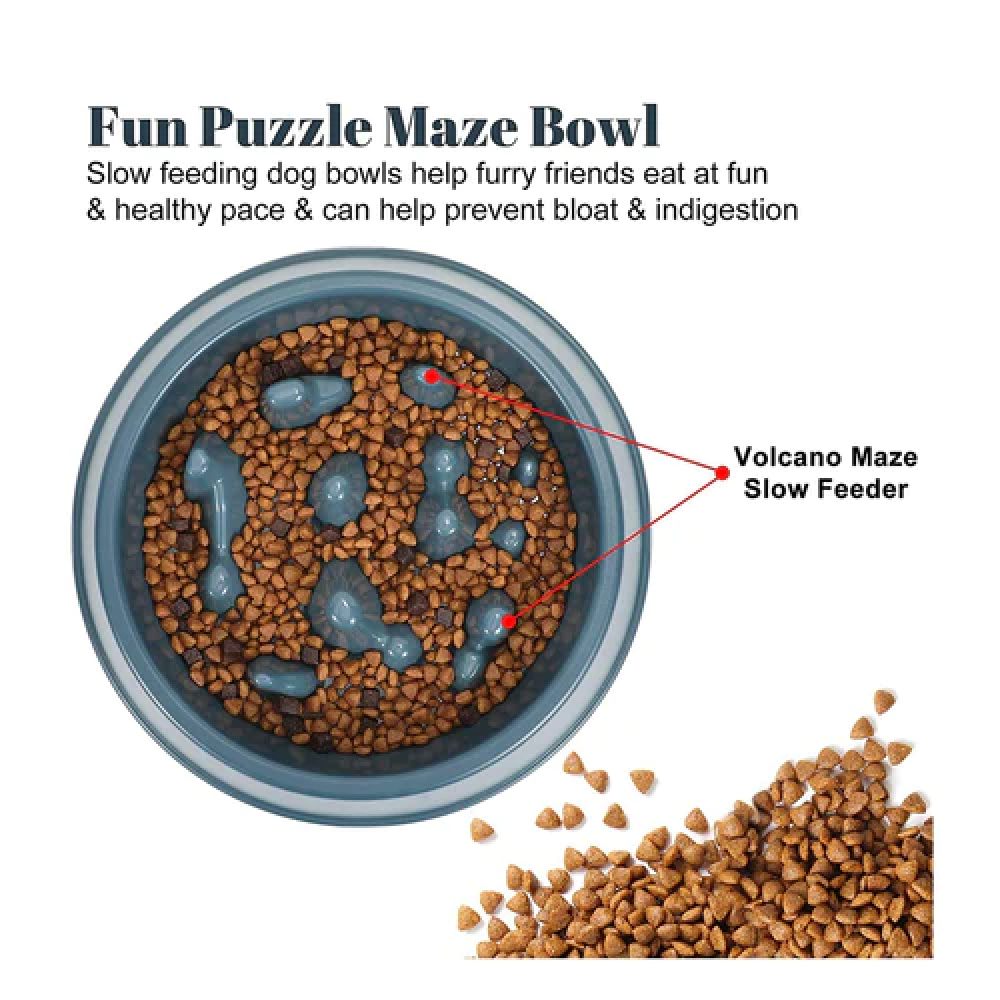 Emily Pets Slow Feeder Bowl for Pets