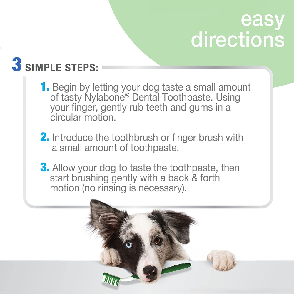 Nylabone Advanced Oral Natural Care Dog Dental Kit