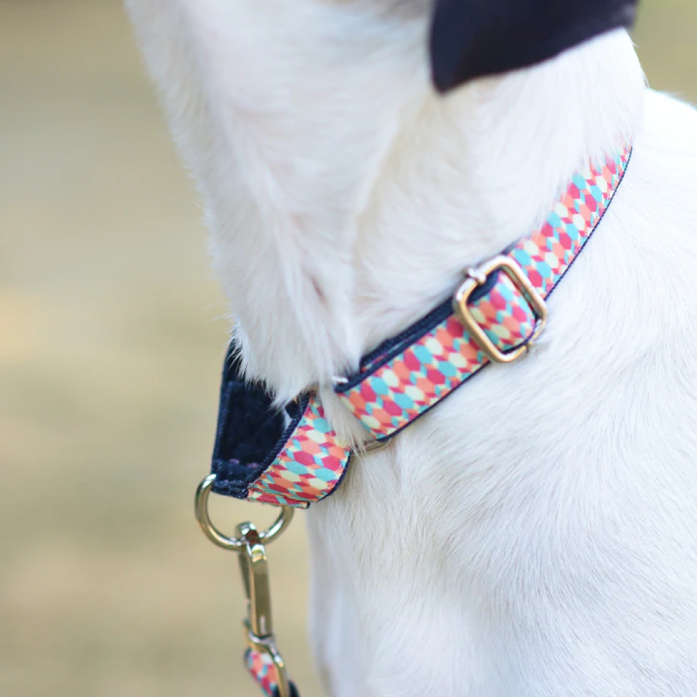 Mutt of Course Candy Barr Martingale Collar for Dogs