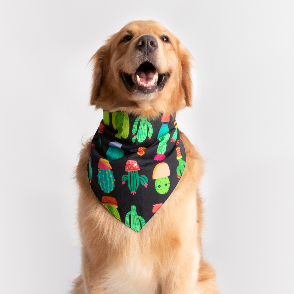 FurBuddies Touch Me Not Bandana for Dogs