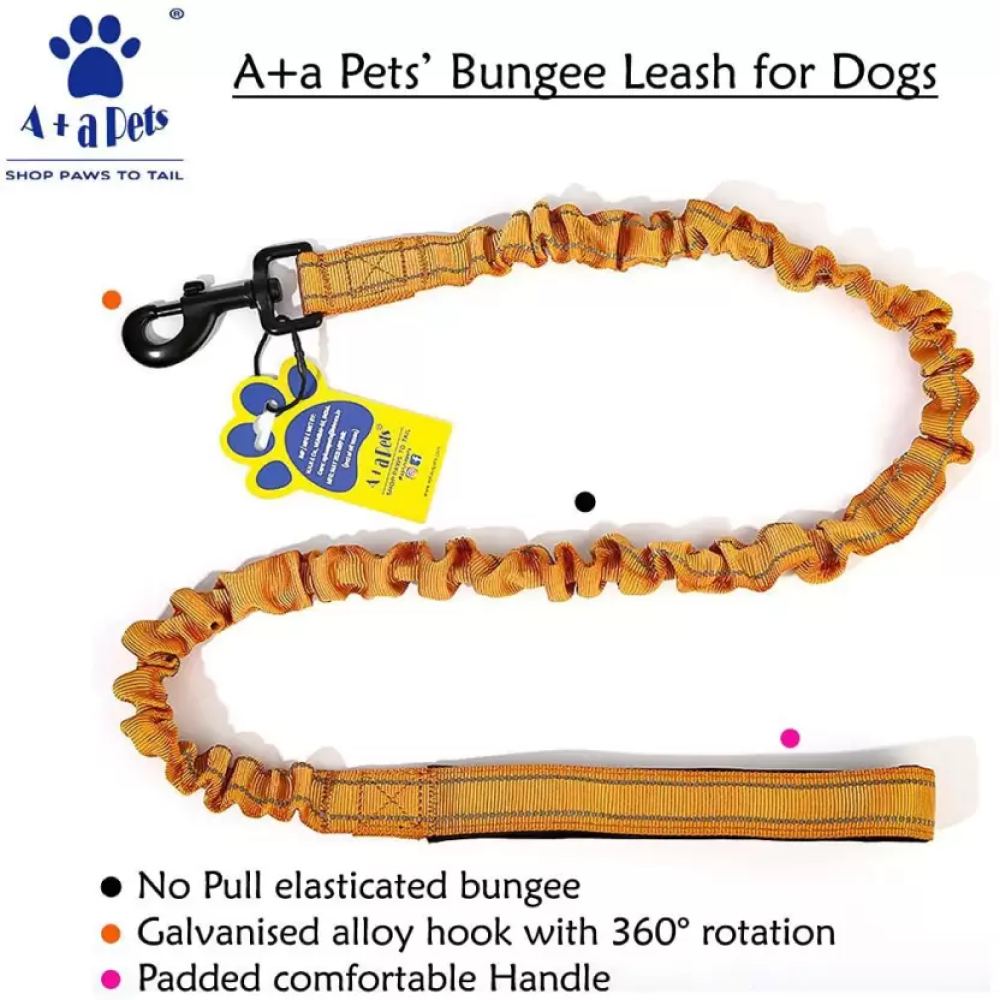 A Plus A Pets Heavy Duty Bungee Leash for Dogs (Brown)
