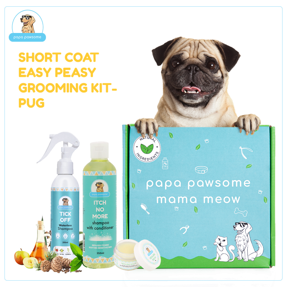 Papa Pawsome Short Coat Easy Peasy Grooming Kit (Pug)