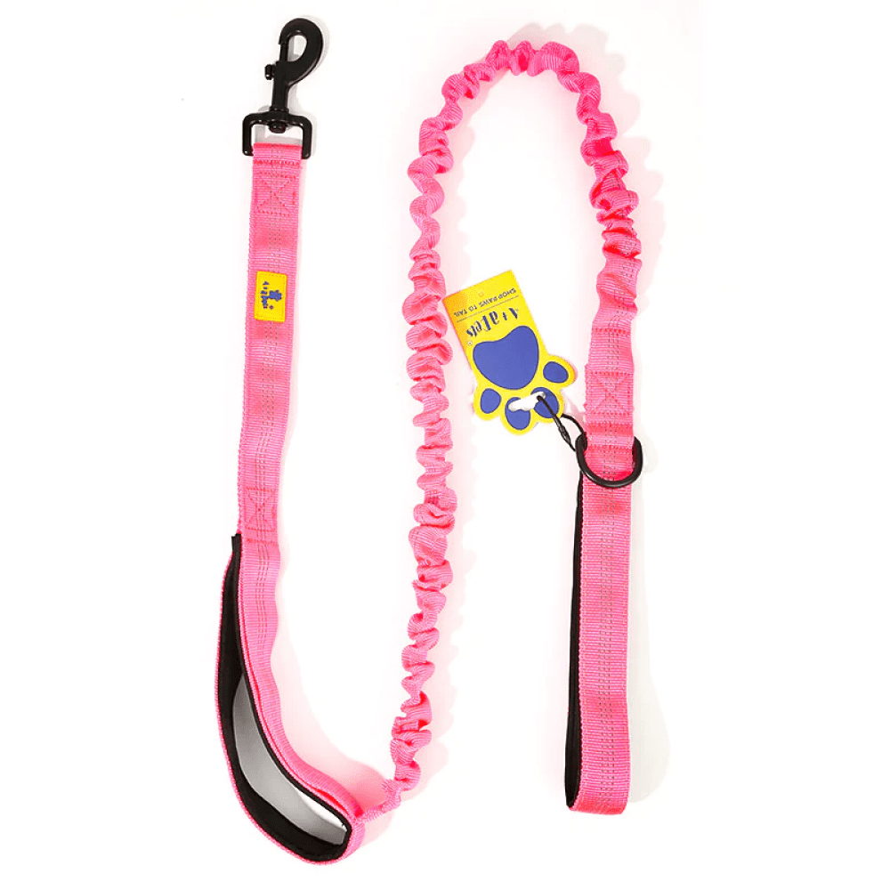 A Plus A Pets Dual Handle Bungee Leash for Dogs (Pink)