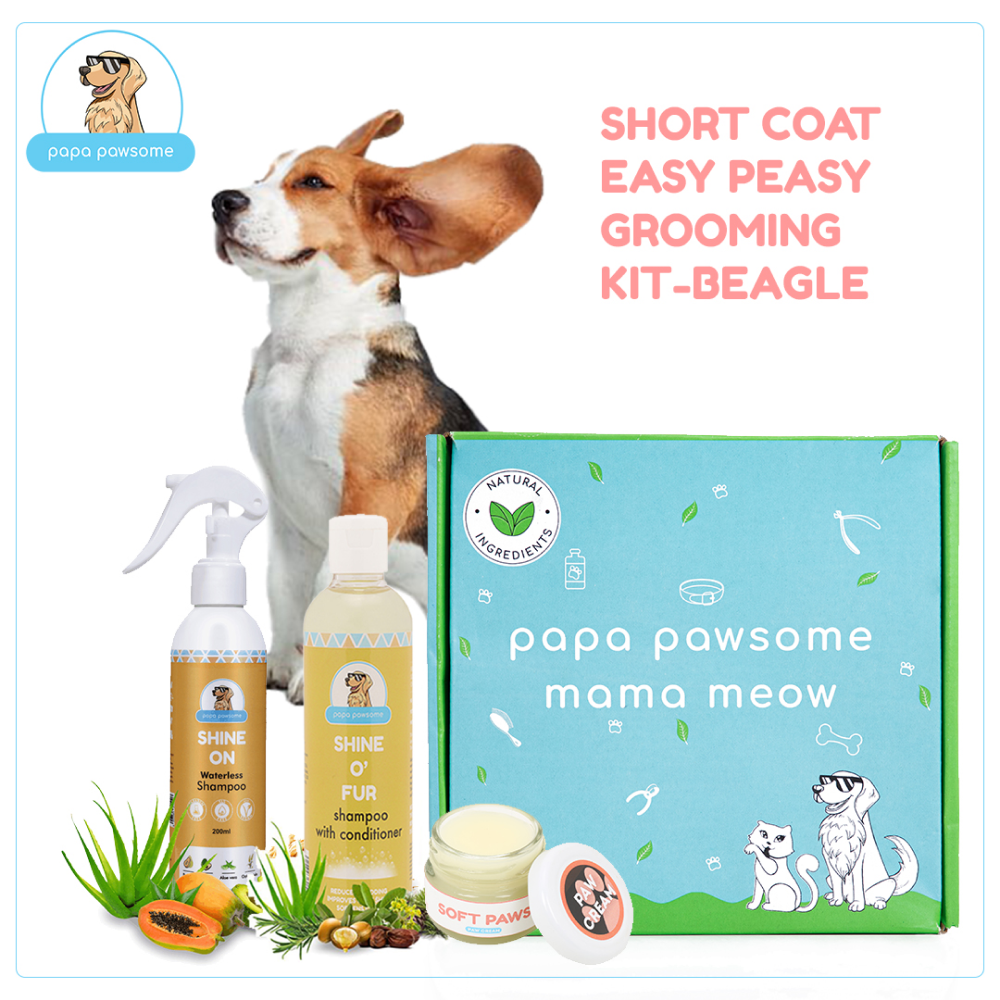 Papa Pawsome Short Coat Easy Peasy Grooming Kit (Beagle)