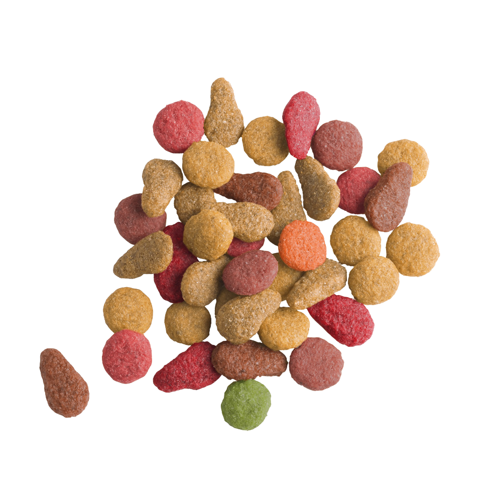 Versele Laga Lara Salmon Adult Cat Dry Food