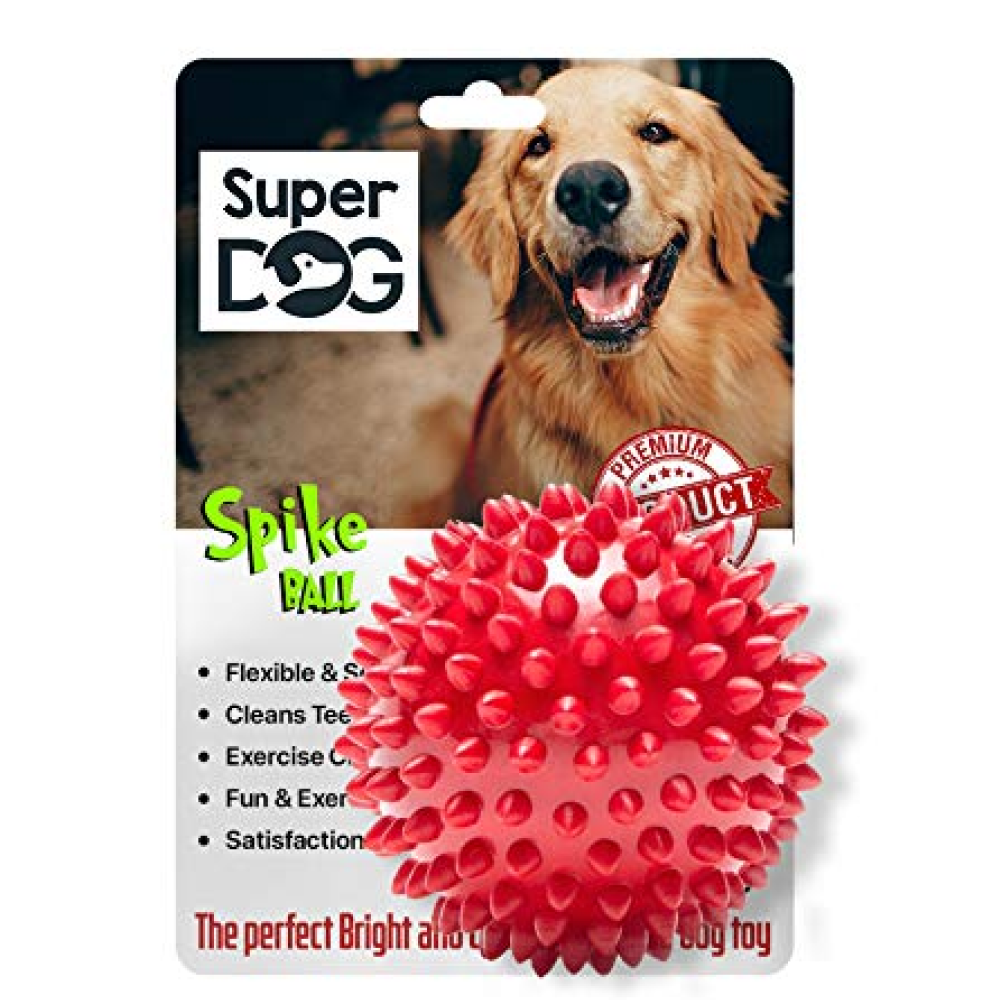 First Pet Natural Rubber Spiked Ball Toy for Dogs (Assorted)