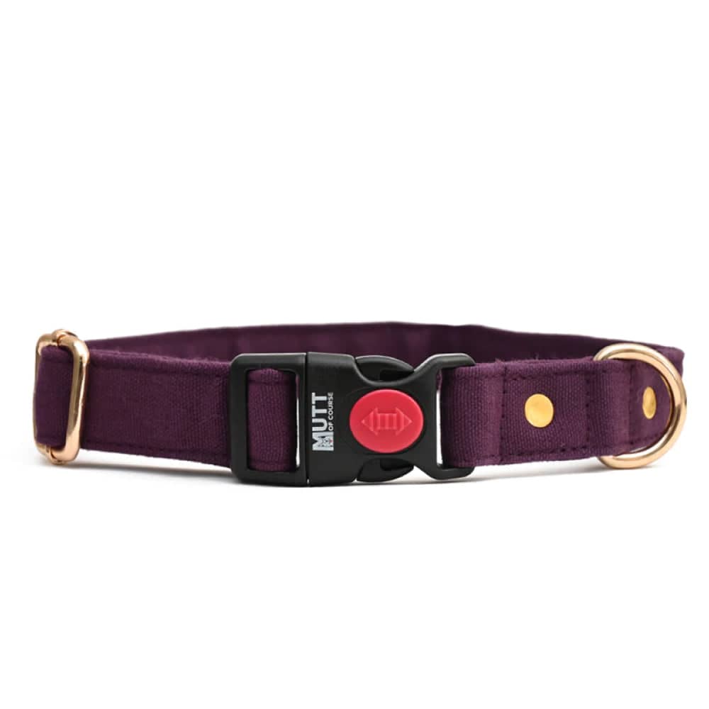 Mutt of Course Collar for Dogs (Wildberry)