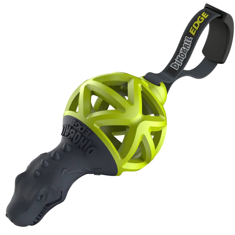 Gigwi Dinoball Edge with Strap Chew Toy for Dogs (Green)