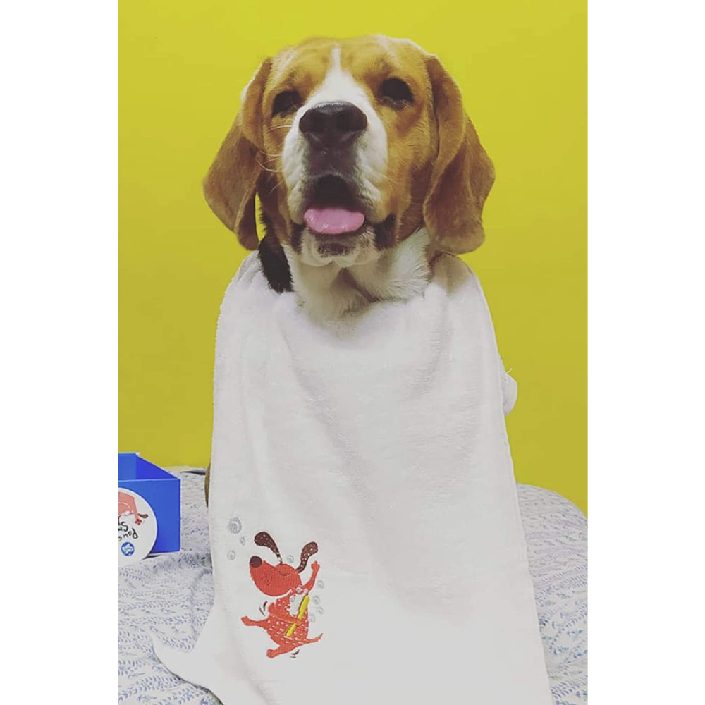 Captain Zack Signature Hand Towel for Dogs