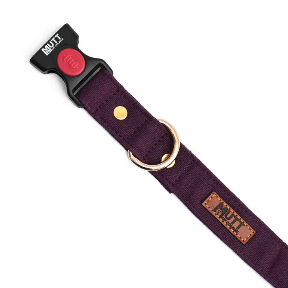 Mutt of Course Collar for Dogs (Wildberry)