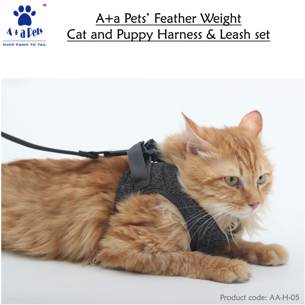 A Plus A Pets Feather Weight Harness & Leash Set for Pets