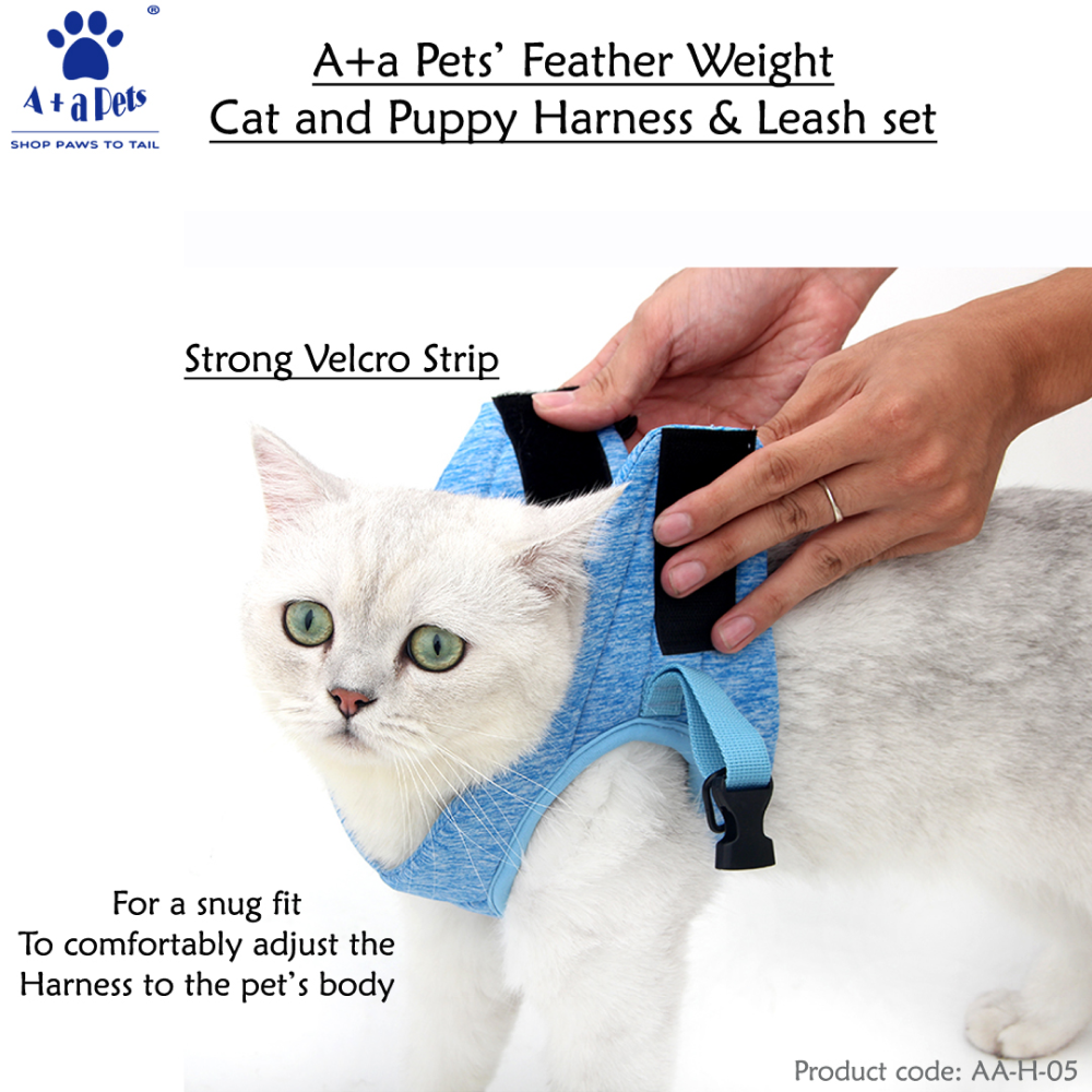 A Plus A Pets Feather Weight Harness & Leash Set for Pets