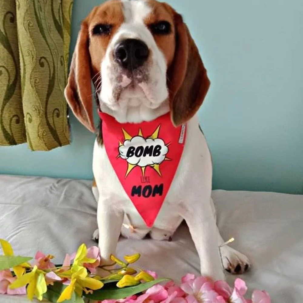 Lana Paws Bomb Like Mom Adjustable Dog Bandana/Scarf (Pink)