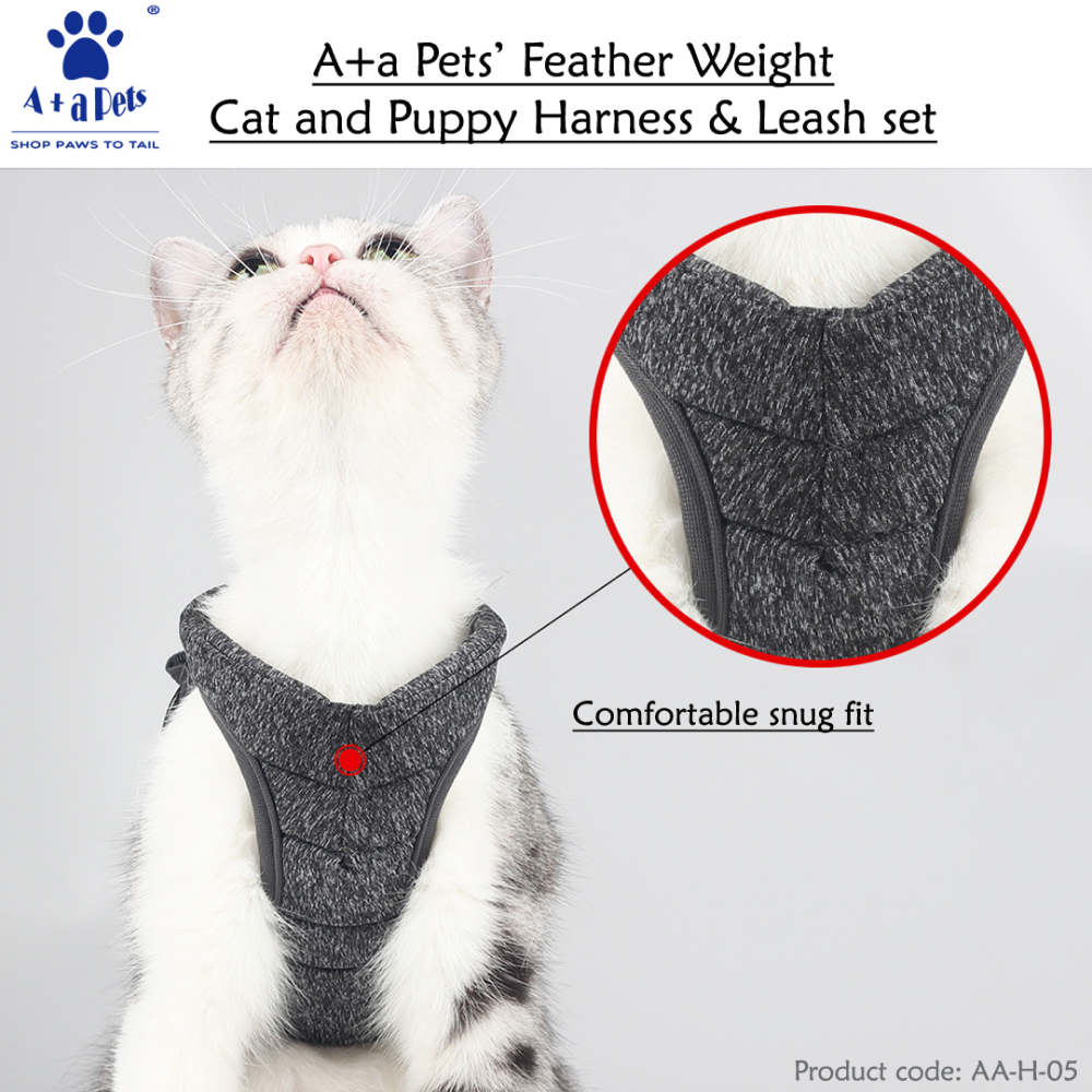 A Plus A Pets Feather Weight Harness & Leash Set for Pets
