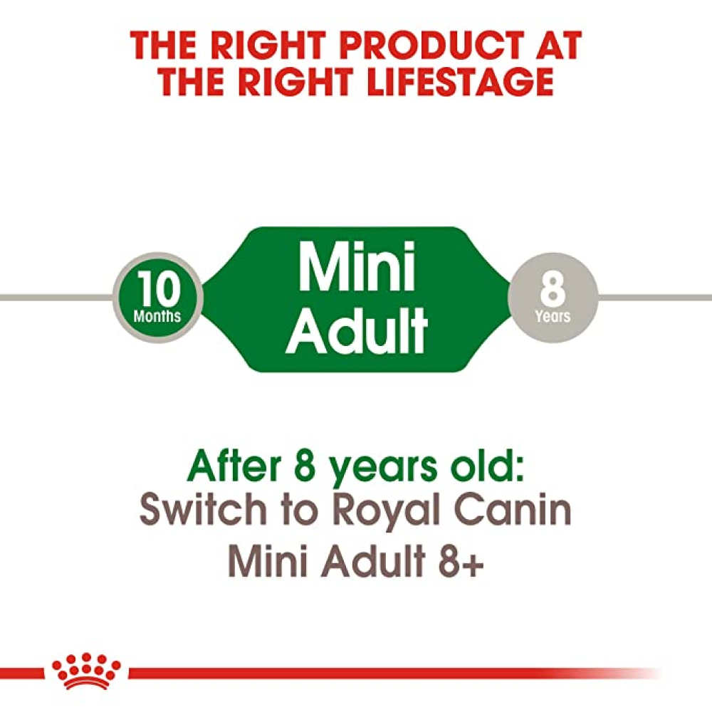 Royal Canin Mini Adult 8+Dog Dry Food