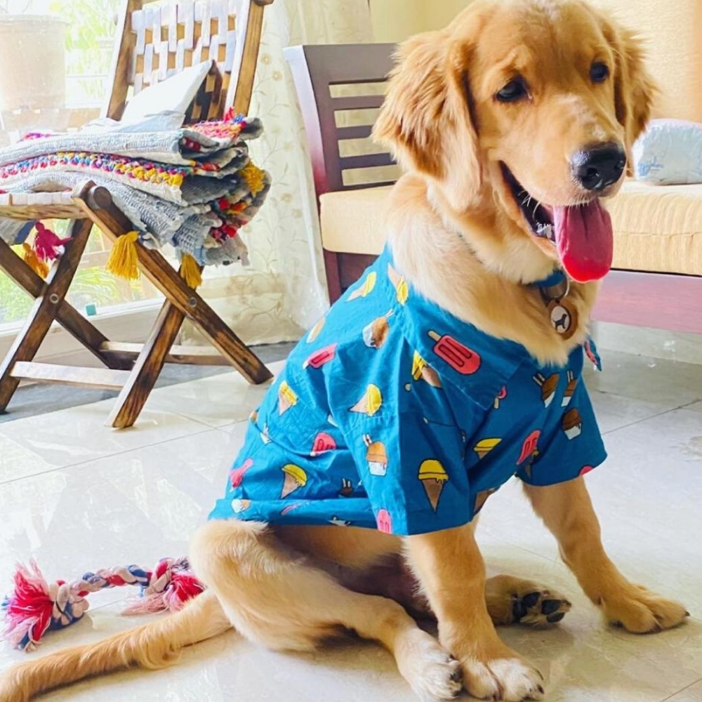 Mutt of Course Pupsicle Shirt For Dogs