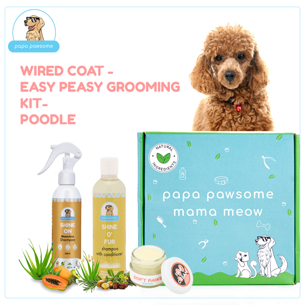 Papa Pawsome Wired/Curly Coat Easy Peasy Grooming Kit (Poodle)