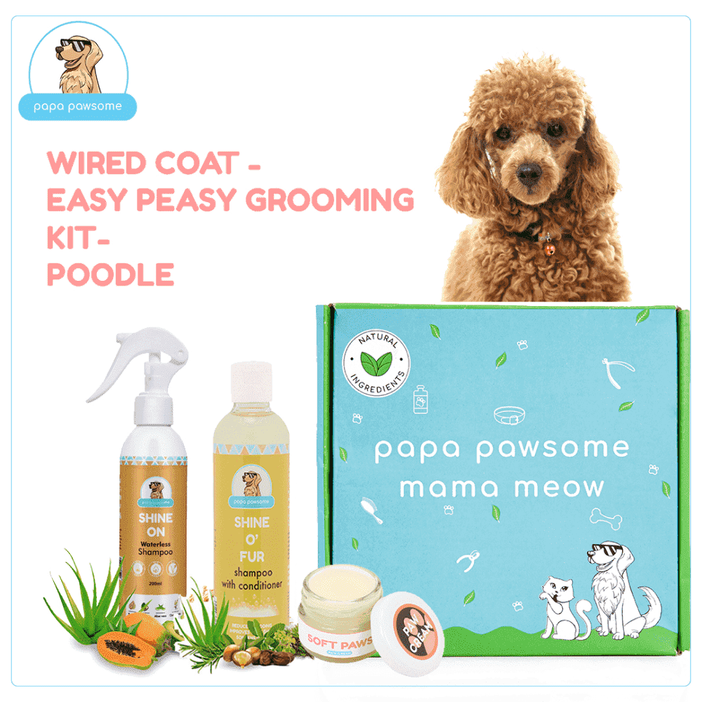 Papa Pawsome Wired/Curly Coat Easy Peasy Grooming Kit (Poodle)