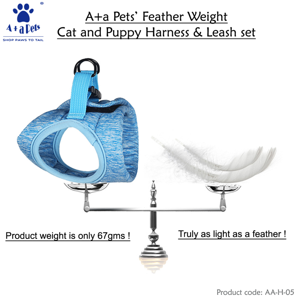 A Plus A Pets Feather Weight Harness & Leash Set for Pets