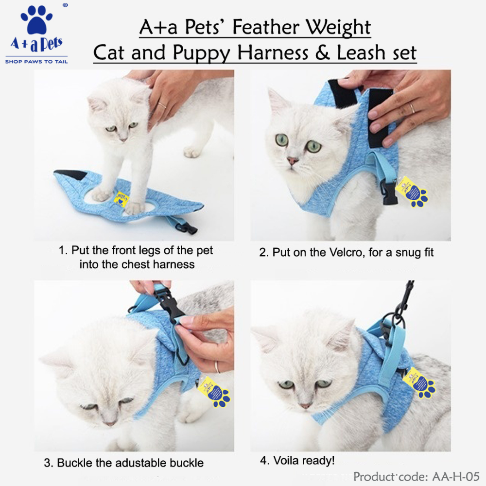 A Plus A Pets Feather Weight Harness & Leash Set for Pets
