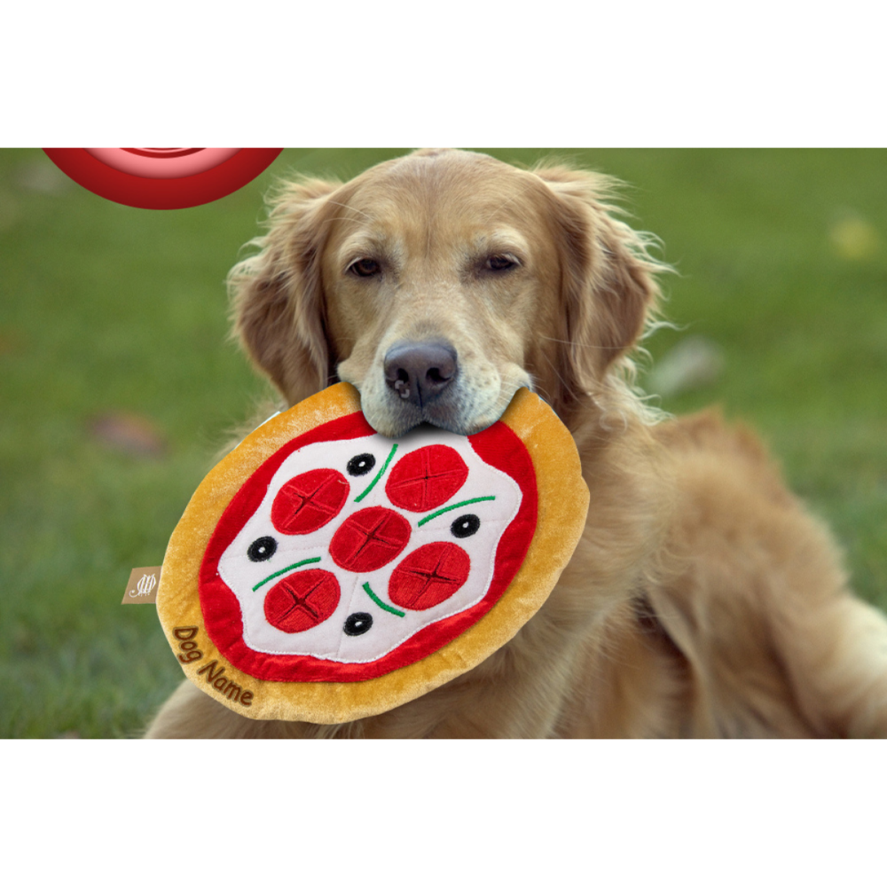 Jazz My Home Pizza Frisbee for Dogs (Hand-Made)