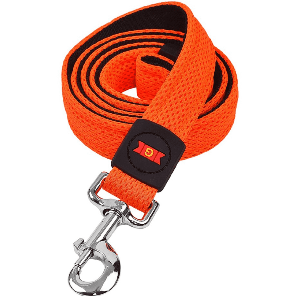 Glenand Nylon Mesh Leash for Dogs (Orange)