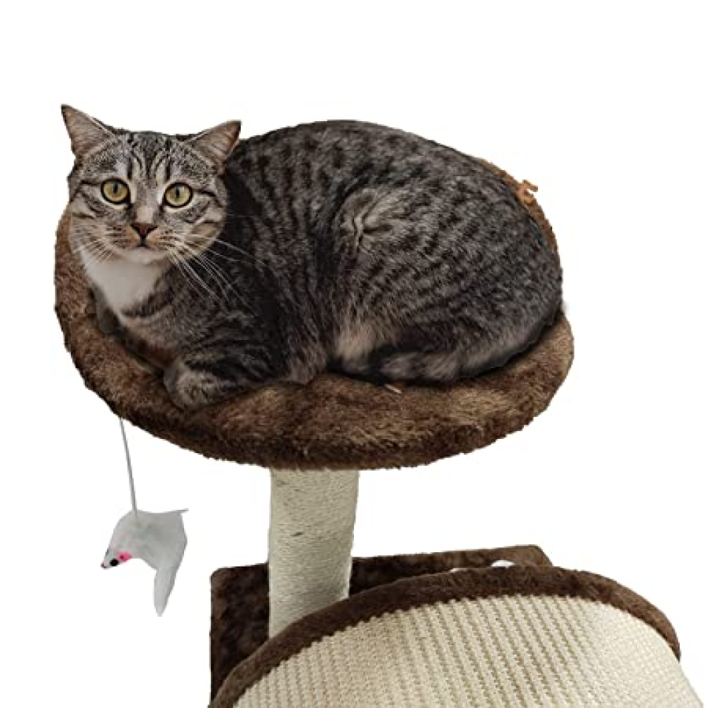 Emily Pets Cat Tree Scratching Post for Cats (Black)