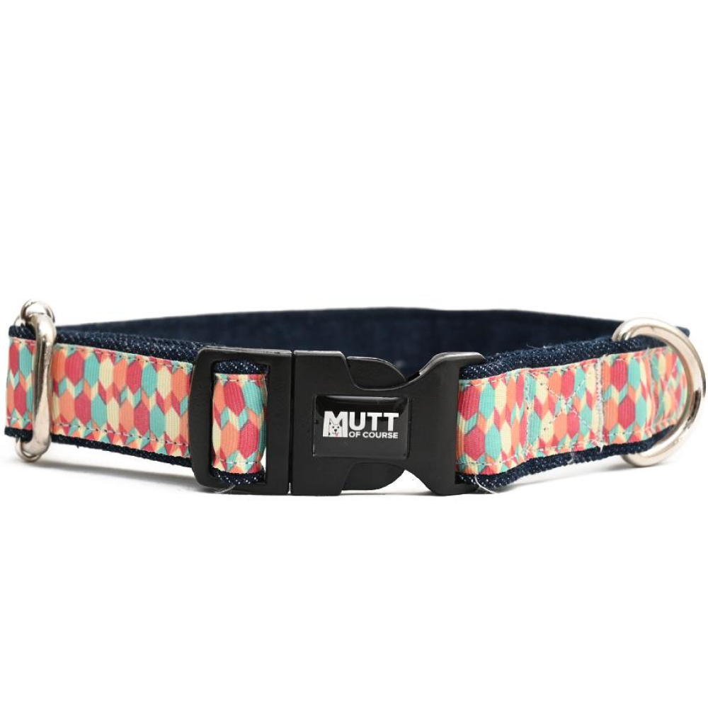 Mutt of Course Candy Barr Collar for Dogs