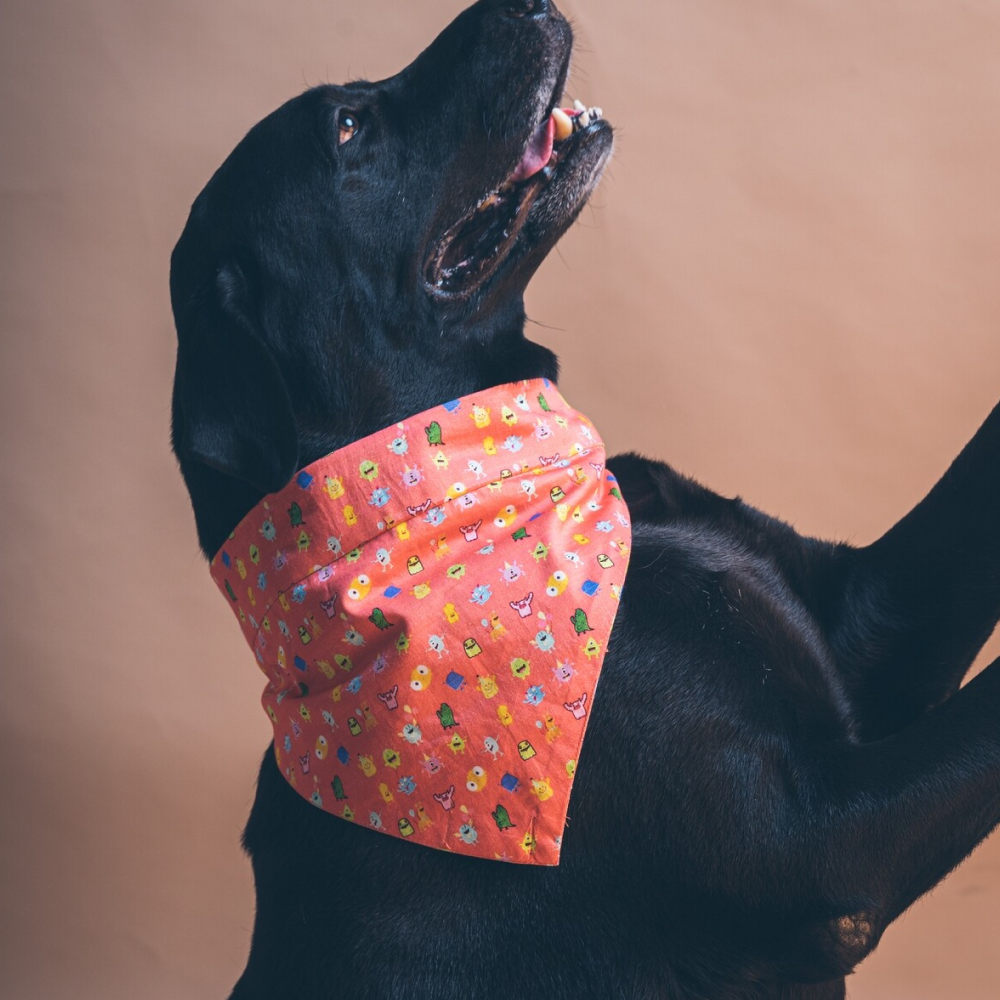 FurBuddies Cray Happy Bandana for Dogs