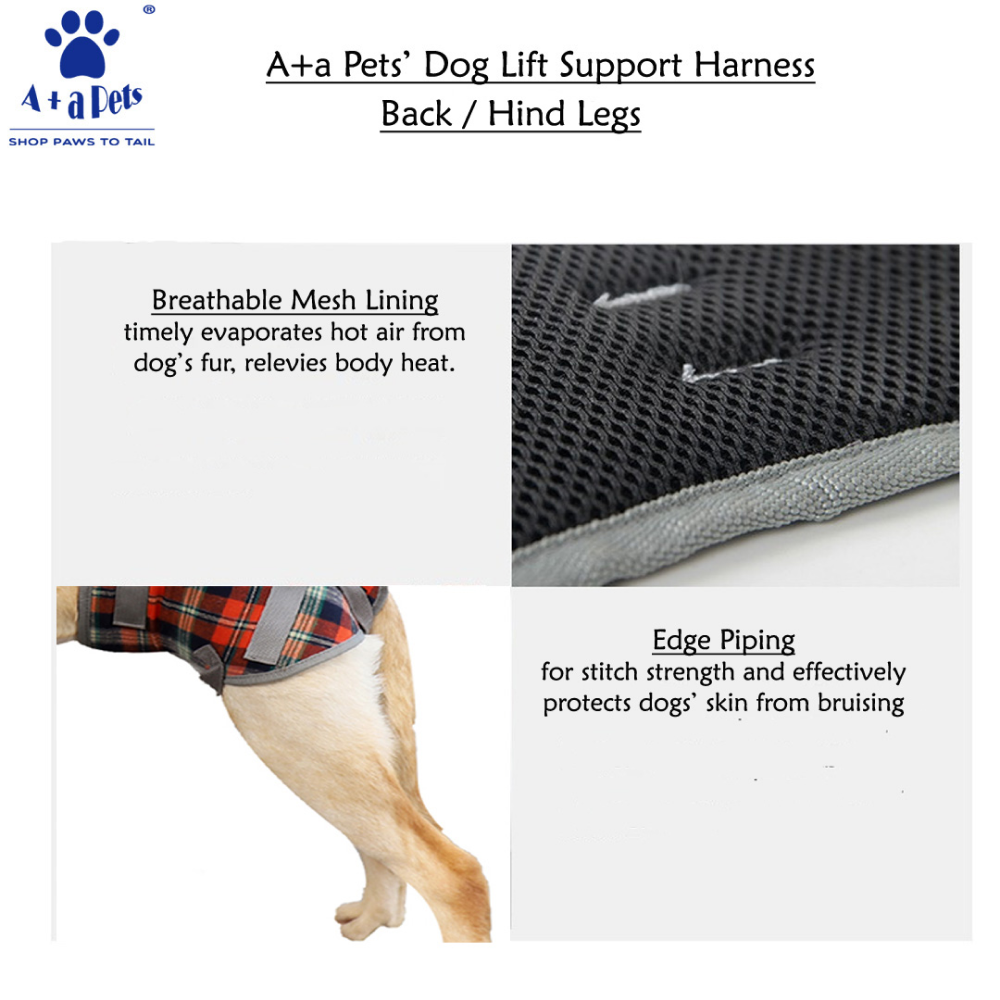 A Plus A Pets Lift Support Harness For Hind Legs for Dogs (Navy)