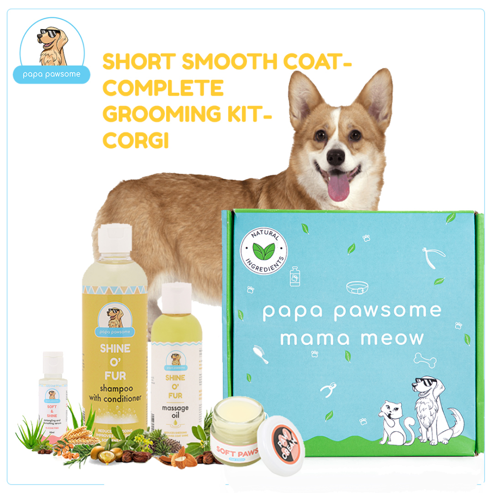 Papa Pawsome Short Smooth Coat Complete Grooming Kit (Corgi)