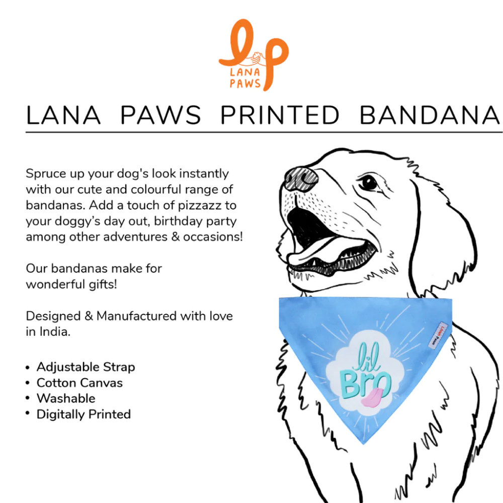 Lana Paws Little Bro Adjustable Dog Bandana/Scarf (Blue)