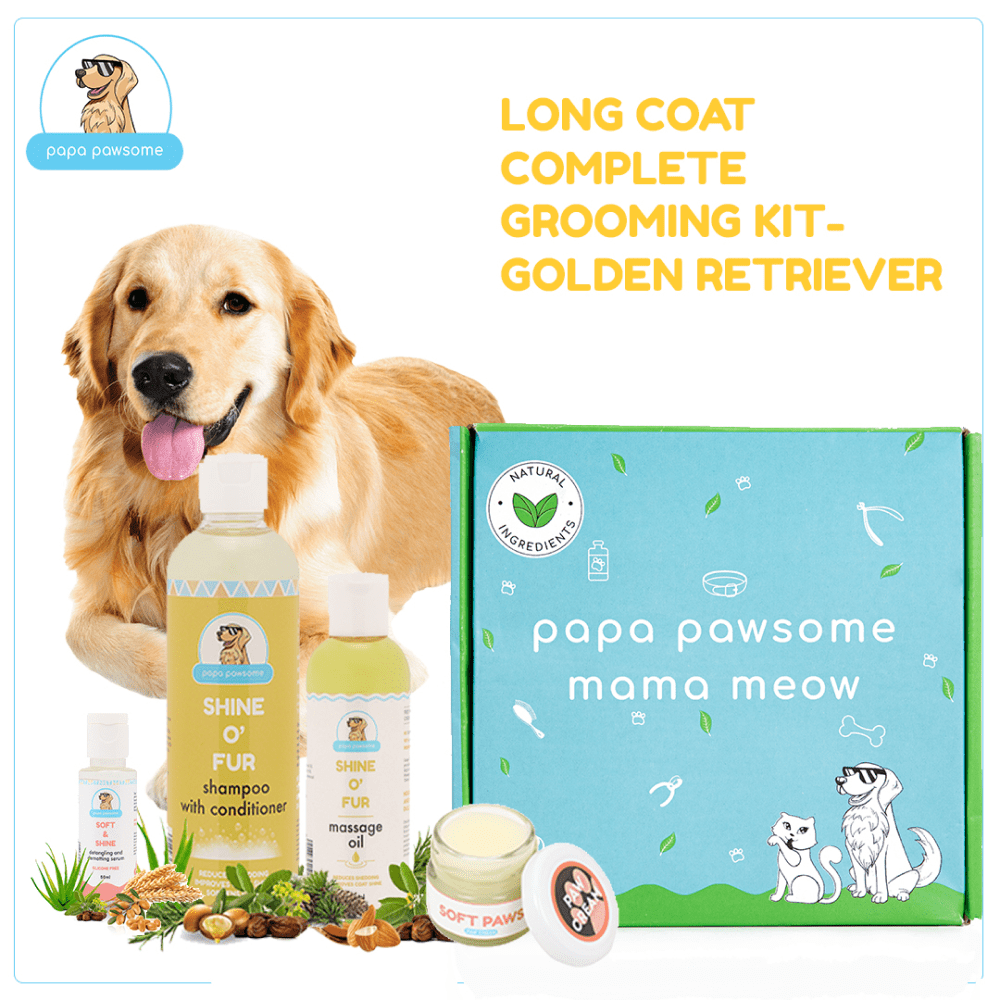 Papa Pawsome Long/Drop Coat Complete Grooming Kit (Golden Retriever)