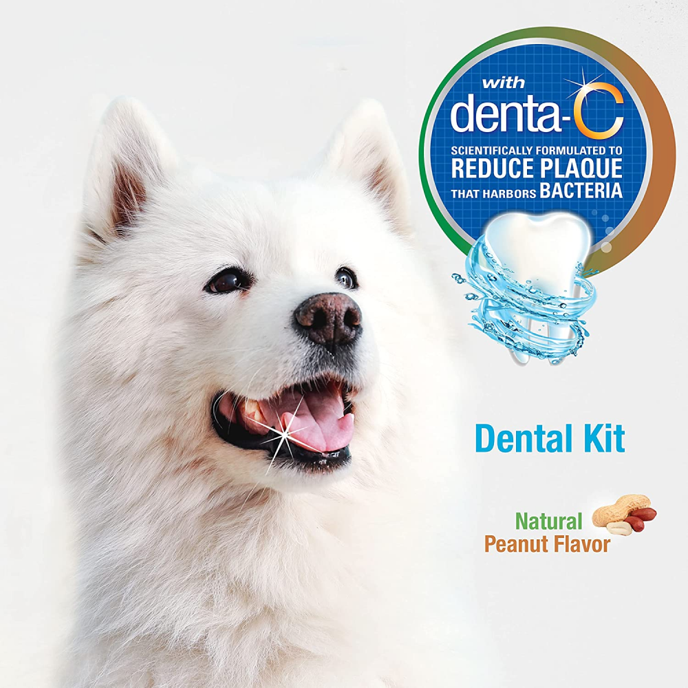 Nylabone Advanced Oral Natural Care Dog Dental Kit