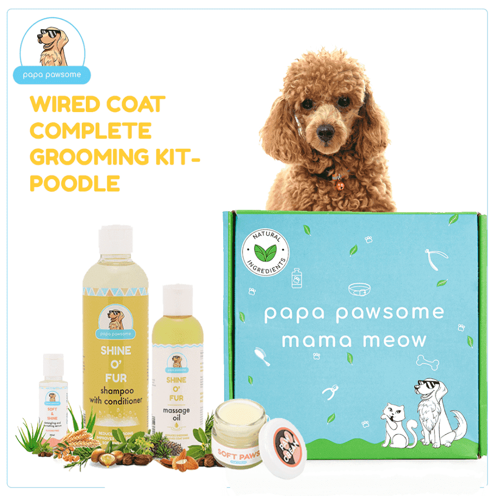 Papa Pawsome Wired/Curly Coat Complete Grooming Kit (Poodle)